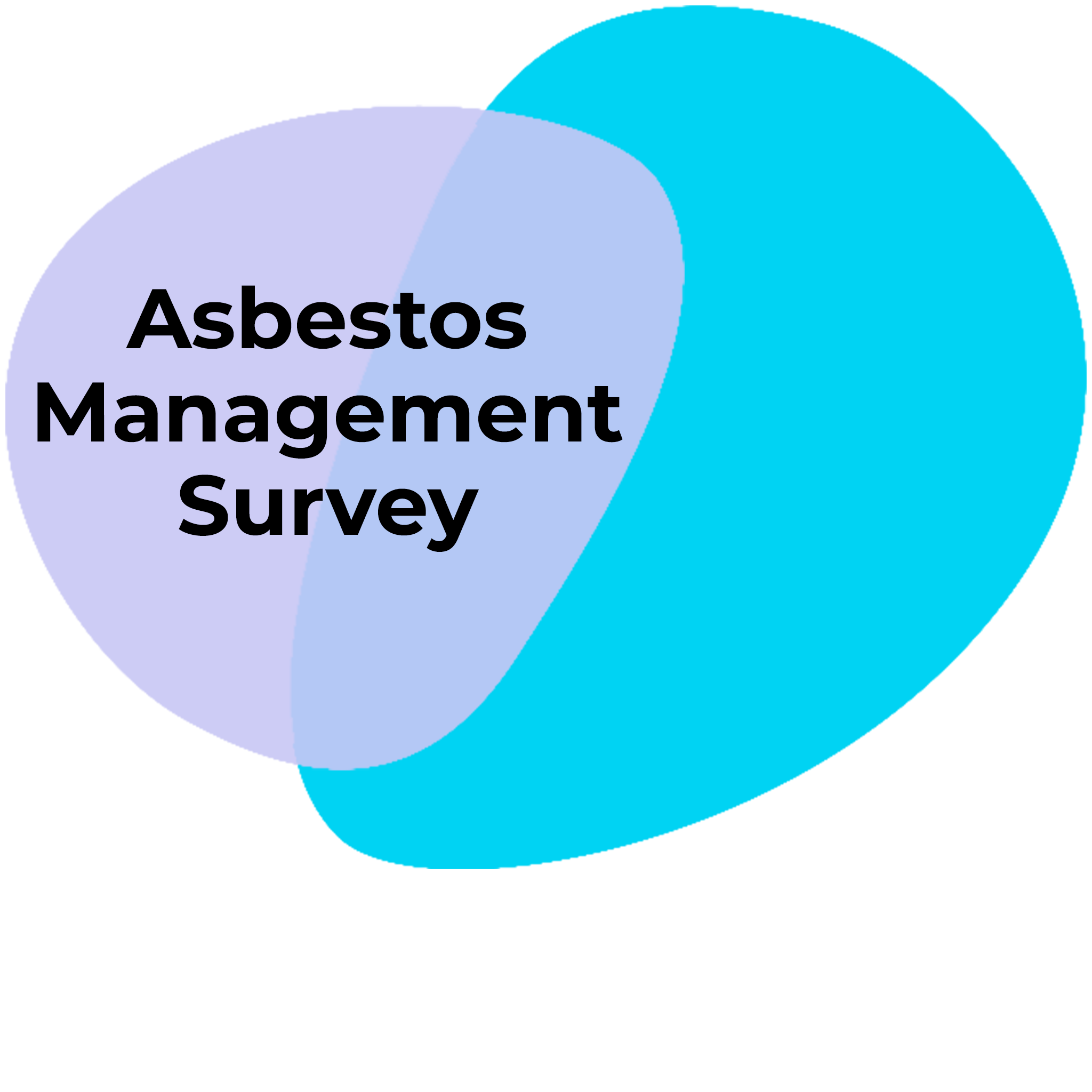 Asbestos management surveys
